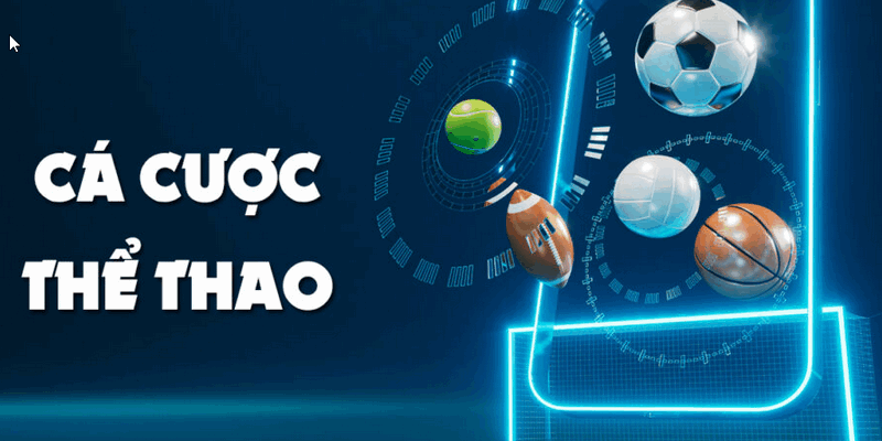 Cách sử dụng tỷ lệ kèo - Bí quyết chiến thắng nhà cái trong tầm tay! Bong88 sảnh cá cược bóng đá online hot nhất – Khám Phá Thế Giới Cá Cược Đầy Hấp Dẫn – Riphah