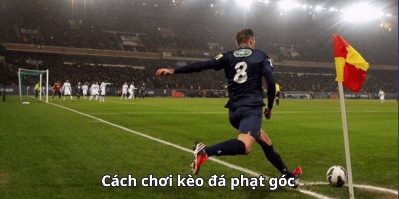 Kèo 1x2 Phạt Góc Bắt Nhịp Cao Thủ - Bí Kíp Chinh Phục Ngon Ăn Kèo 1x2 Phạt Góc Bắt Nhịp Cao Thủ - Bí Kíp Chinh Phục Ngon Ăn